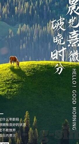 足球大赢家比分网-足球大赢家比分网，球迷的实时数据宝库与赛事分析利器